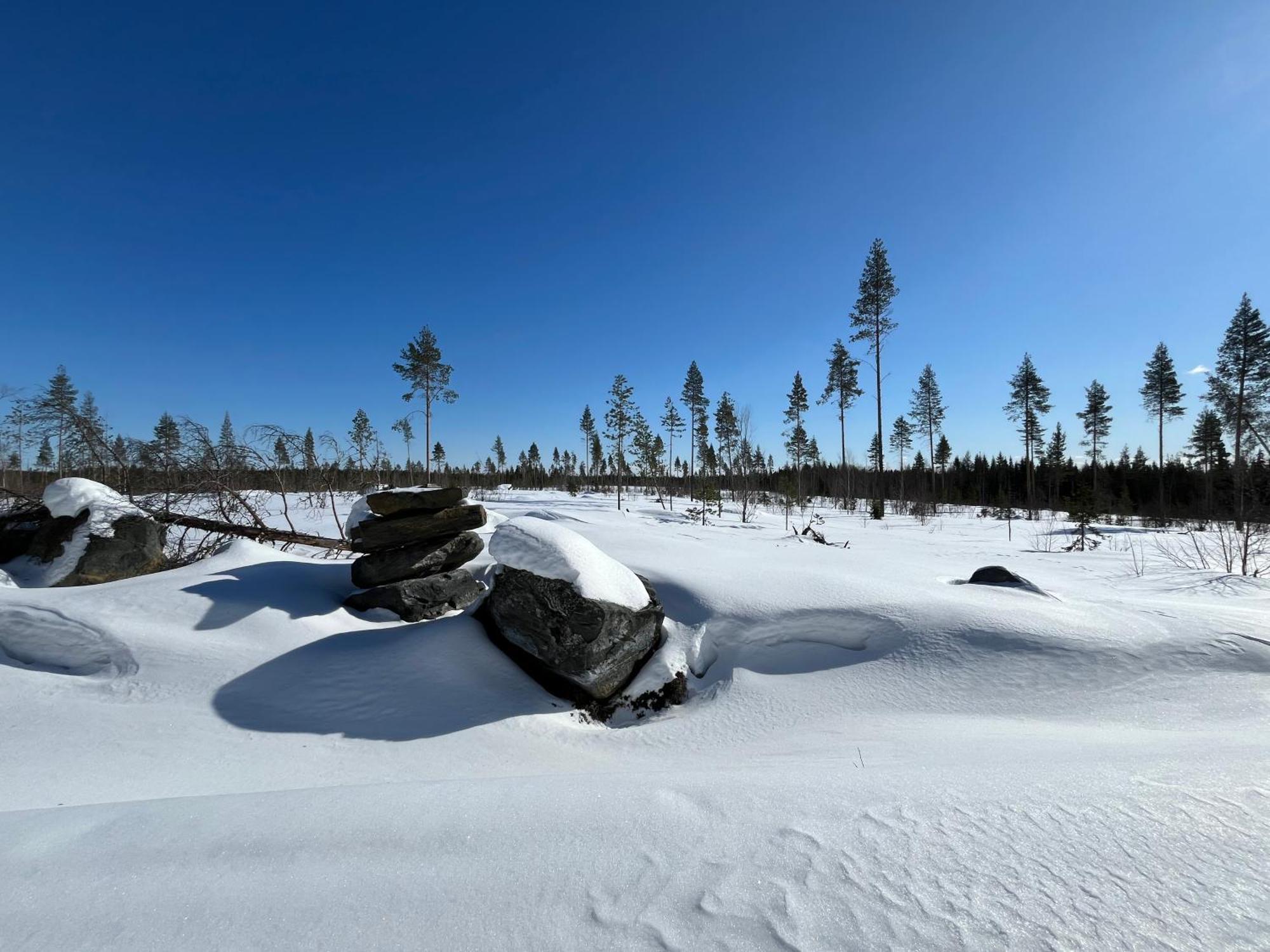 Log Cottages In 10 Min From Santa Claus Village-Sauna&Freeparking Rovaniemi Exterior photo